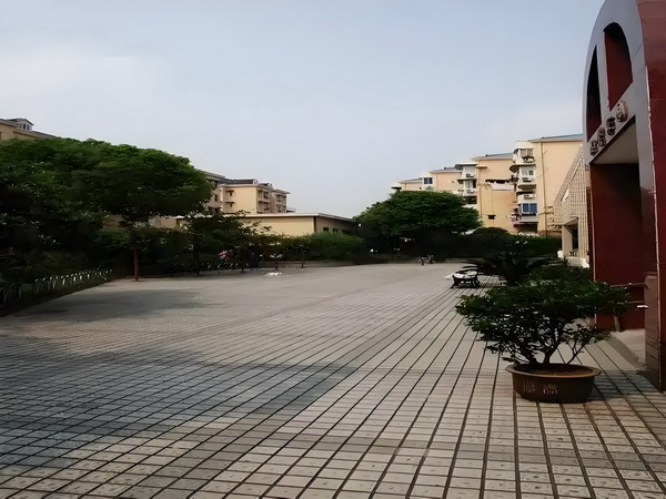 深圳大学生毕业生落户_《你行！你上！》与姜文电影：“登味”的衰落 撞上快车城际一辆野猪